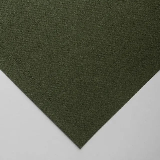 Χαρτόνι Canson Mi-Teintes 160g/m² 65x50cm - 448 Ivy