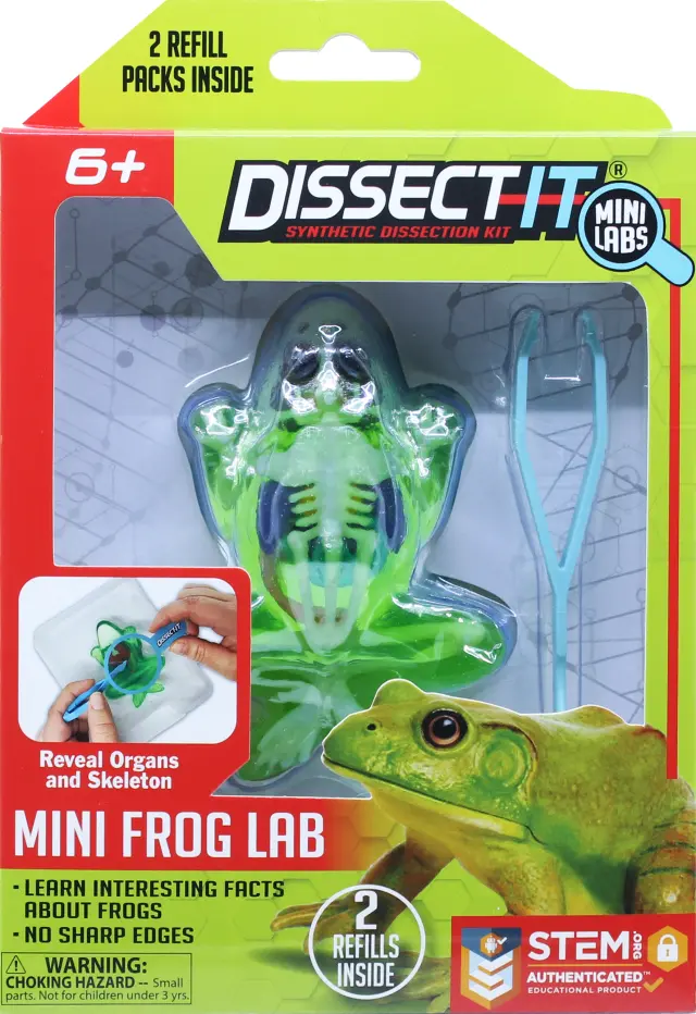 Sensory Compounds - Frog In Giftbox (12-38083) - Toys