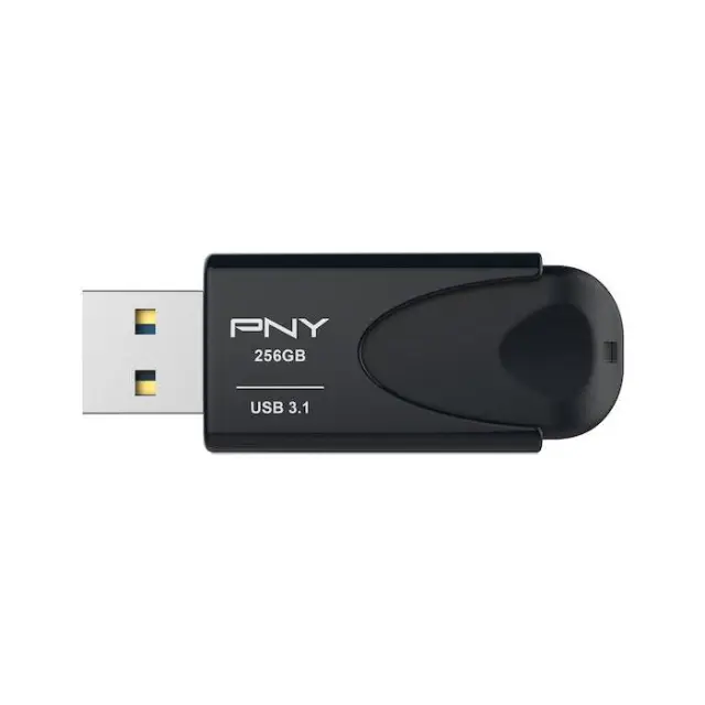 USB 3.1 stick 256GB.