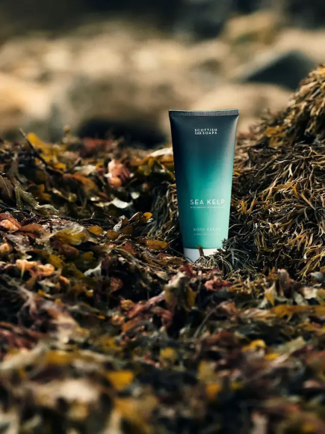 The Scottish Fine Soaps Sea Kelp Body Cream Κρέμα Σώματος με θαλάσσια φύκια 200ml 2