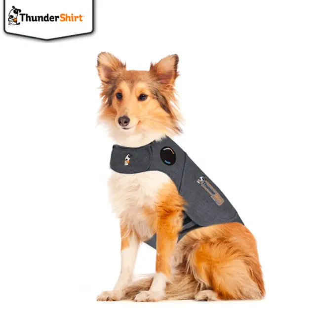 ThunderShirt - Compression shirt XL - 972894 - Pet Supplies