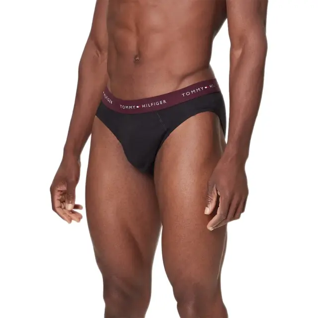Tommy Hilfiger Ανδρικό Slip Signature Logo Waistband Briefs - Τριπλό Πακέτο, Χρώμα Dp Brg-Blu Com-Des Sky - S 2