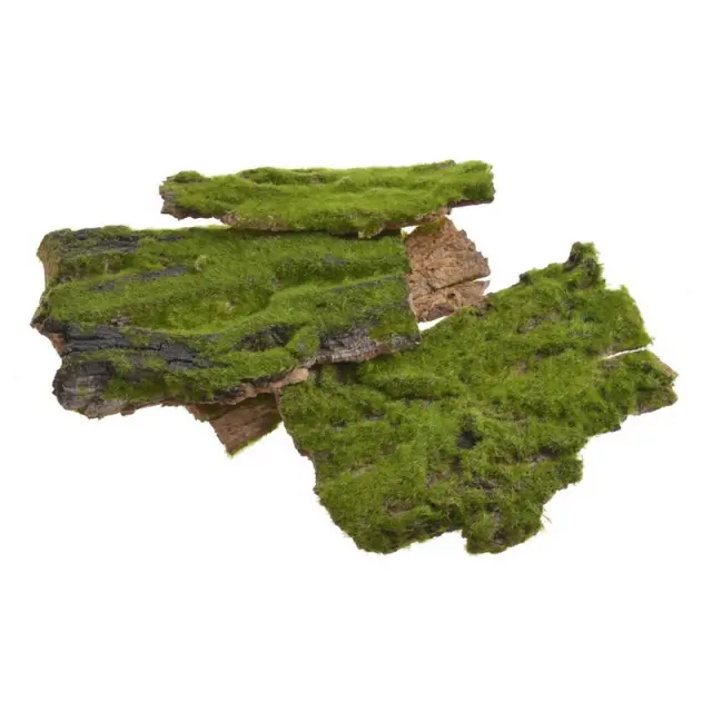 Φλοιός ξύλου με moss, 17cm