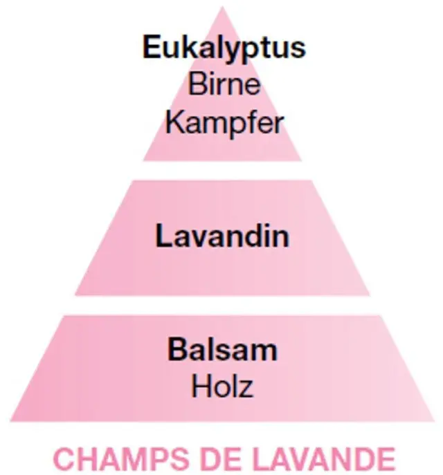 Maison Berger Paris Lampe Berger Refill Υγρό Αναπλήρωσης Καταλυτικής Λάμπας Chant de Lavande 500ml 3