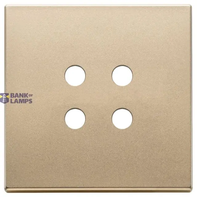 Plate 2Mx4 Tondo satin gold