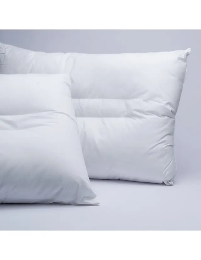 Μαξιλαρι 50X70 White Comfort ANATOMIC-ALOE VERA Palamaiki - 50 x 70