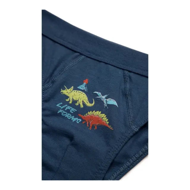 Minerva Παιδικό Slip Αγόρι Dino Forms, Χρώμα Ραφ 2