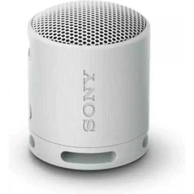Sony SRS-XB100 Speaker Wirless Bluetooth Grey (SRSXB100H) (SNYSRSXB100H)