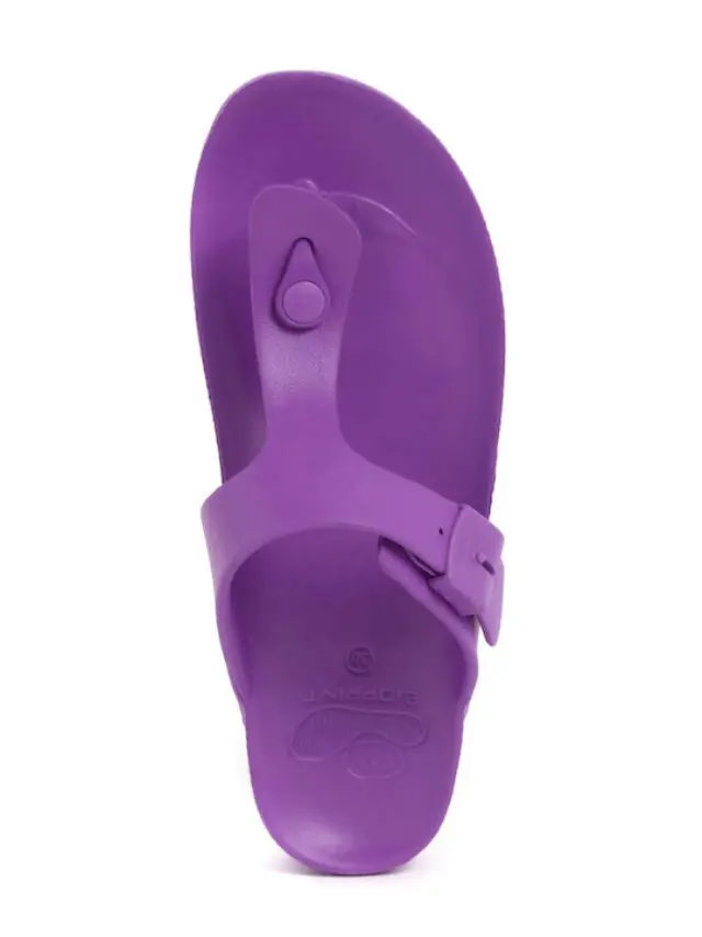 Scholl Bahia Flip-Flop Dark Purple Σαγιονάρες σε Μωβ Χρώμα 40 3