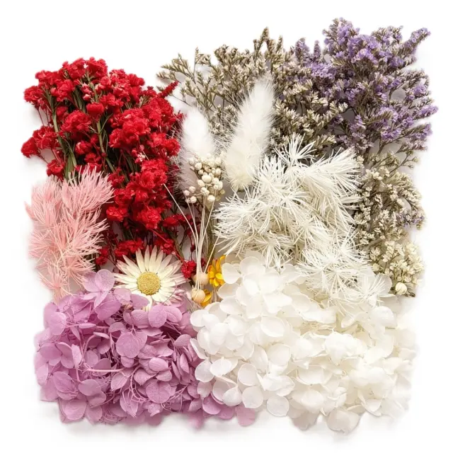 Αποξηραμένα λουλούδια mix, White harmony