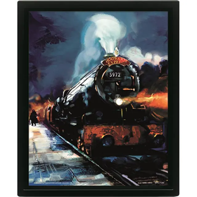 Pyramid HARRY POTTER - Hogwarts Express - 3D Lenticular Poster 29x24x4cm Καδρο σε Καμβα