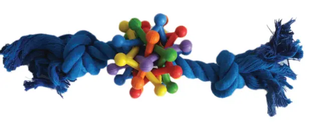 Pet Camelot Οδοντικό Νήμα με Rubber Ball 24cm