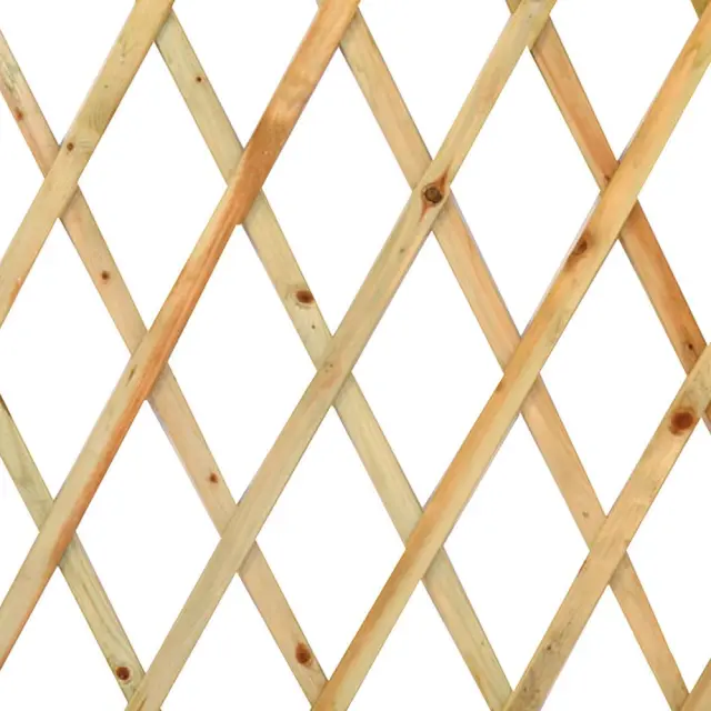Grasher Πτυσσόμενη πέργκολα κήπου από ξύλο 0,60x1,80cm / 100553 2