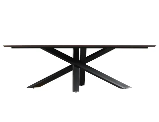 Τραπεζαρία Alore PTMD Luxury Living από Ξύλο Μango, με διαστάσεις 240x100x77cm - Brown, Black - Δεν περιλαμβάνονται οι καρέκλες 2