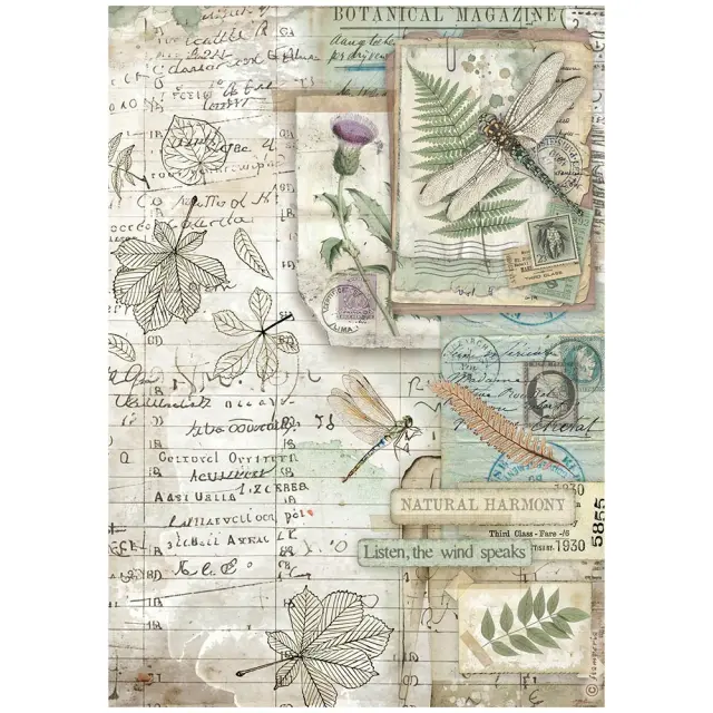 Ριζόχαρτο ντεκουπάζ Stamperia 21x29cm A4, Herbarium Silvae, Βότανα