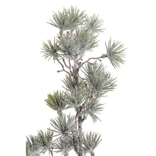 Χιονισμένο κλαδί , 135cm 2