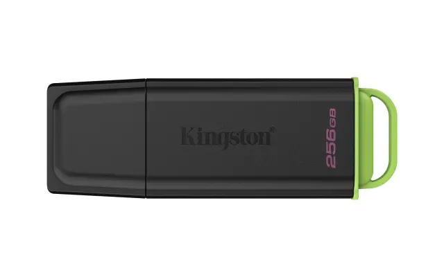 Kingston Technology DataTraveler 256GB Portable USB 3.2 Gen 1 Exodia Black/Green