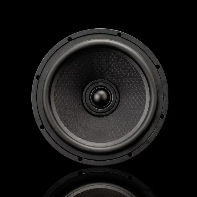 Sigma 165X coaxial speaker 2