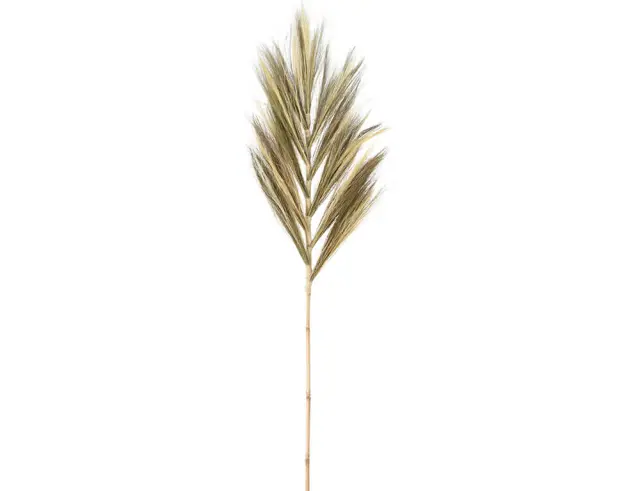 Διακοσμητικό κλαδί Mustard grass - 150cm D22310050