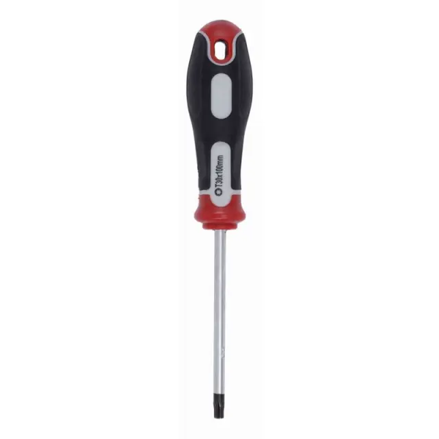 Kατσαβίδι S2 Torx 30x100mm