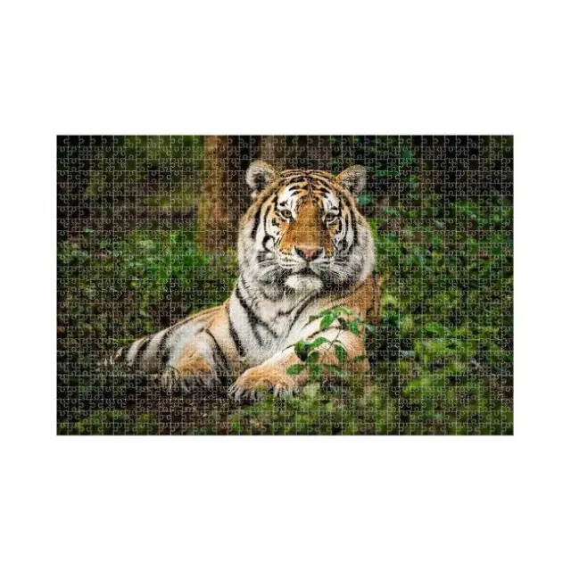 Luna Puzzle Animal Planet Τίγρης 1000τεμ.(000570698) 2