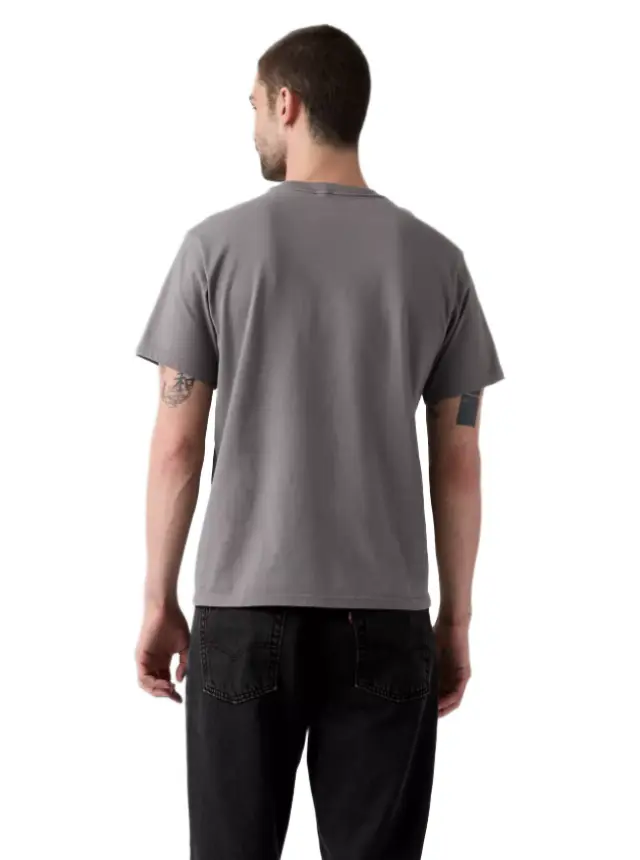 Levi's Relaxed Graphic T-Shirt ανδρικό μπλουζάκι με τύπωμα 161432609-1 2