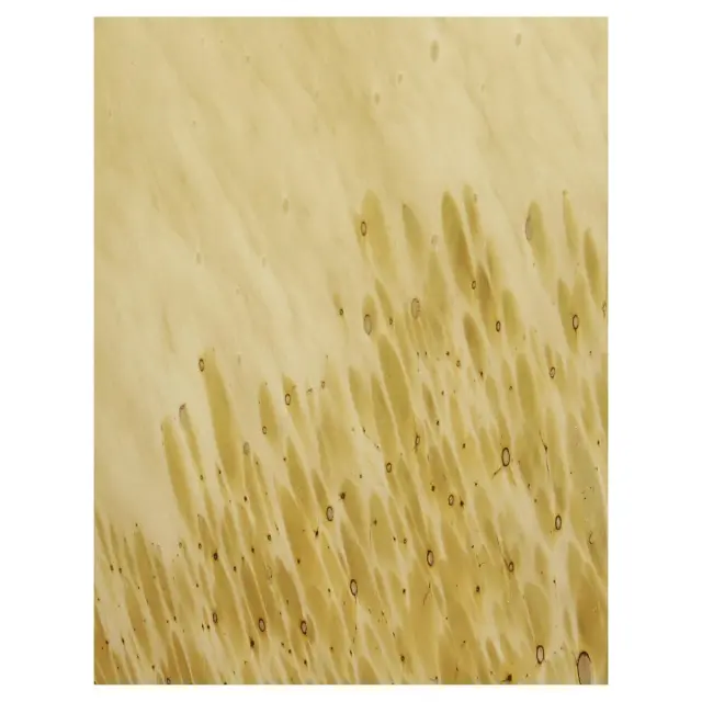 Βάζο Κίτρινο Γυαλί 15.5x15.5x36.5cm 3