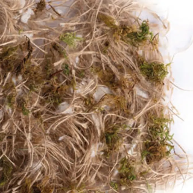 Sisal Fibre Νήμα Φωλιάς Γούτα, Βαμβάκι, Βρύα για Καναρίνια & Ιθαγενή 500gr