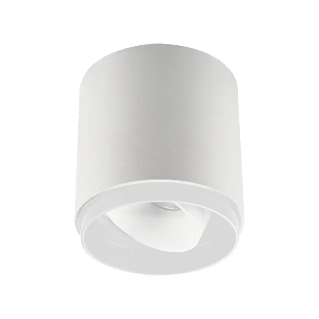 Ian Σποτ οροφής LED 5W 4000K ø9.1x9.7cm κινητό λευκό Άσπρο