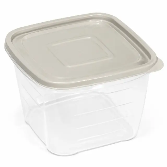Viosarp Trendy Δοχείο Φαγητού τετράγωνο Πλαστικό 1600ml