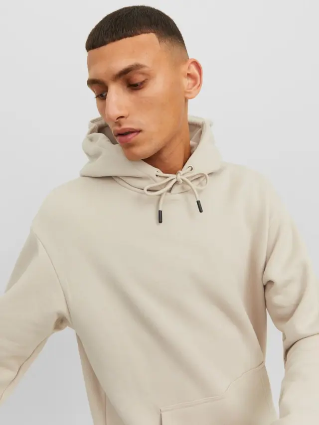 JJEBRADLEY SWEAT HOOD NOOS - Moonbeam 2