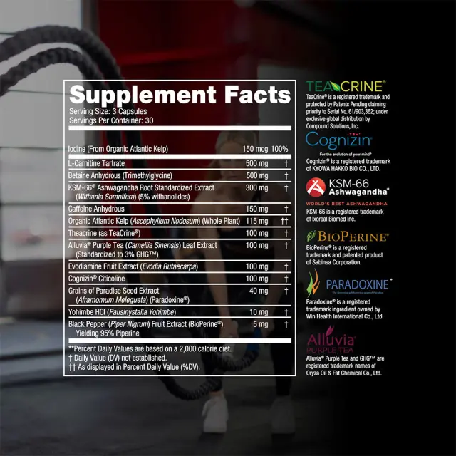 Steelfit Shredded Steel® 2