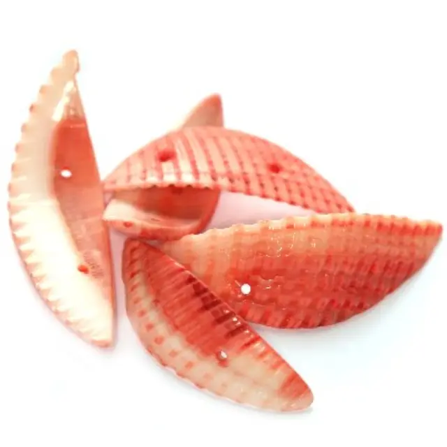 Κοχύλι Βαμμένο 25-50mm - Red ~45gr