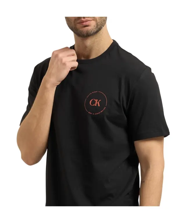 Calvin Klein - Ανδρικό T-shirt Linear Logo Regular Fit LV04RF801G-UB1 Μαύρο 2