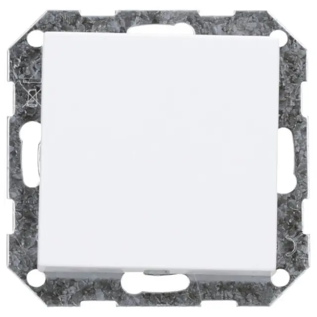 blank cov.pl. sup.ring System 55 p.white m