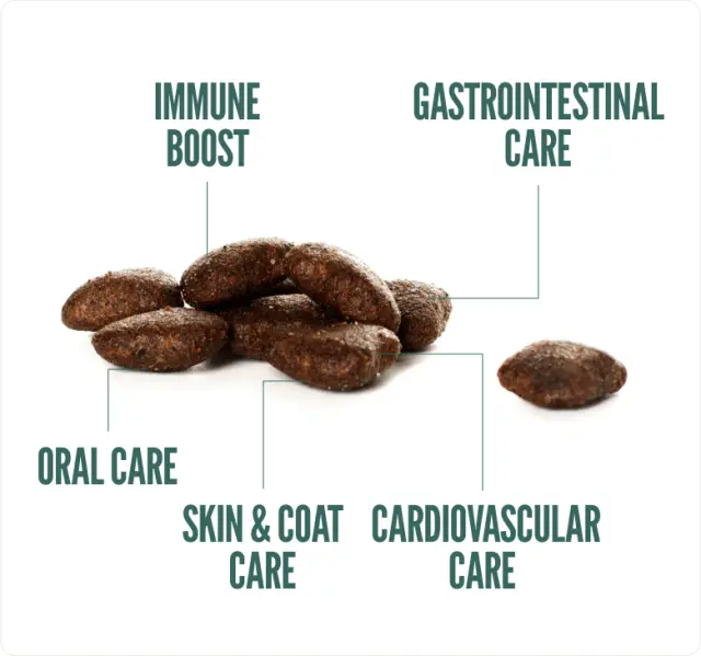Summit10 Grain Free Adult Dog Sensitive Μονοπρωτεϊνική Ξηρά Τροφή Χωρίς Σιτηρά με Φρέσκο Αρνί και Γλυκοπατάτα 3kg 2