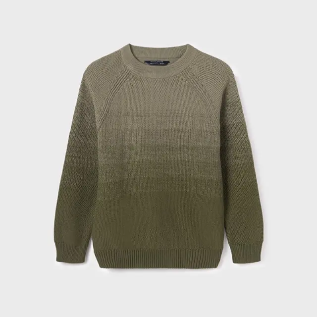 Junior 10 έως 18 ετών Ζέρσεϋ Better Cotton άνηθος - 18Ε