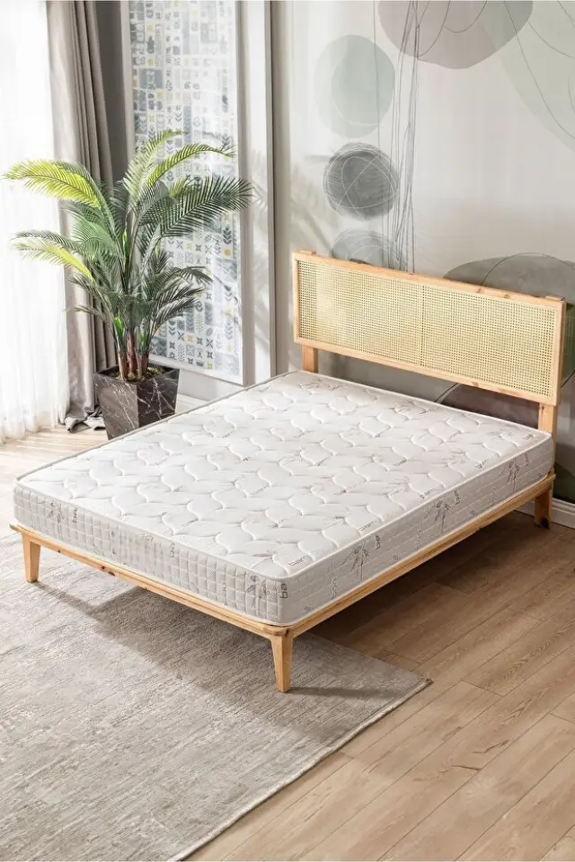 Stewehome Economic Στρώμα Αφρού για Διπλό Κρεβάτι Κρεμ 180x200x14 cm