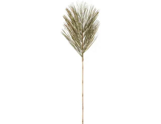 Διακοσμητικό κλαδί Φύλλα Baby Khajur - 150cm D22310040
