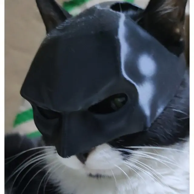 Μάσκα Batman Για Γάτες - 11,2 x 8,2 x 5,5cm / Κεφάλι: 25cm 3