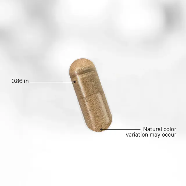 Codeage Raw Vitamin B-Complex 3