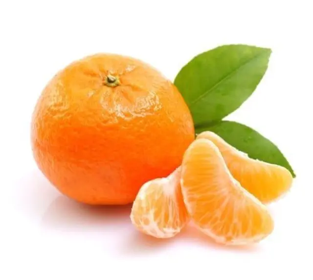 Rosveda Essential Oil Mandarin Peel 2