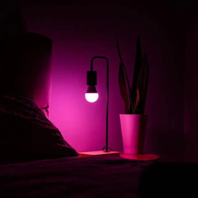 3800238073183 | Shelly Multicolor Bulb E27 Gen3 | EAN 3800238073183 3