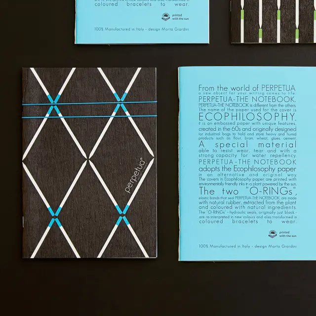 Perpetua Notebook Blue Layout 3