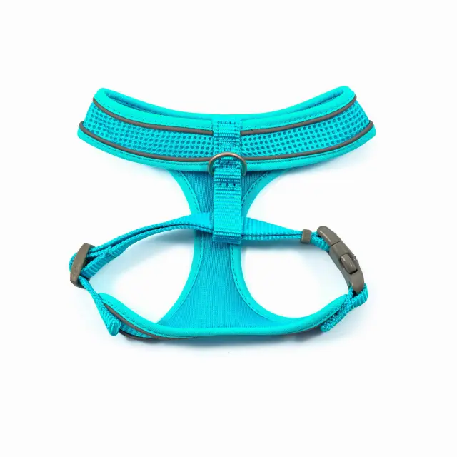 Ancol Περιστήθιο Mesh Comfort Ανακλαστικό Τιρκουάζ Μ 44 57 cm Τιρκουάζ 2