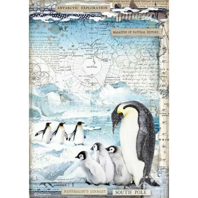 Stamperia Ριζόχαρτο για Decoupage - Penguins - A4