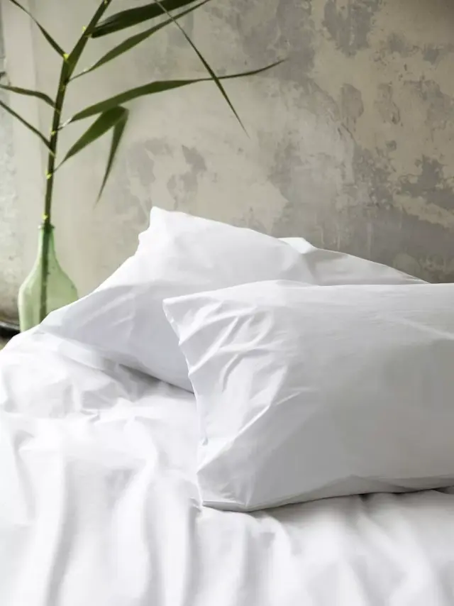 Σεντόνι 100% Cotton, 144 T.C. Ημίδιπλο 180x260 Λευκό