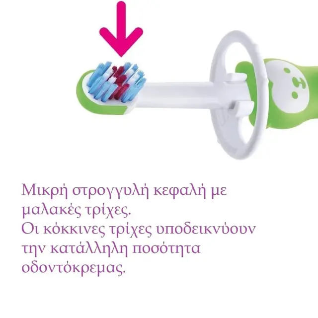 Mam First Brush Βρεφική Οδοντόβουρτσα 6m+ 1τεμ Πράσινο 2
