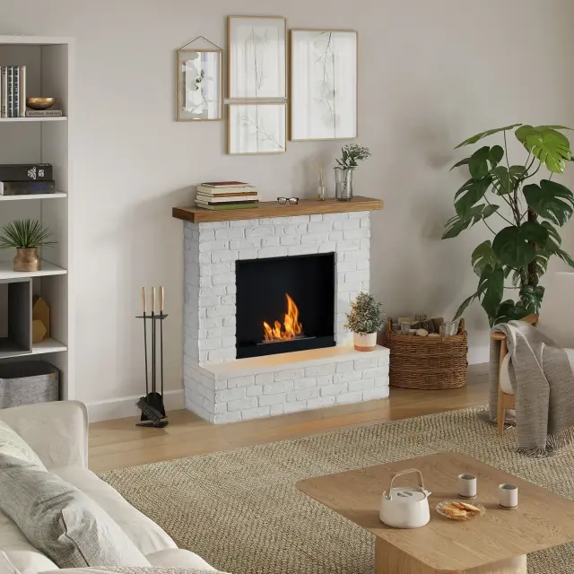 TAGU Rolf FreeFlame Bioethanol Τζάκι WH
