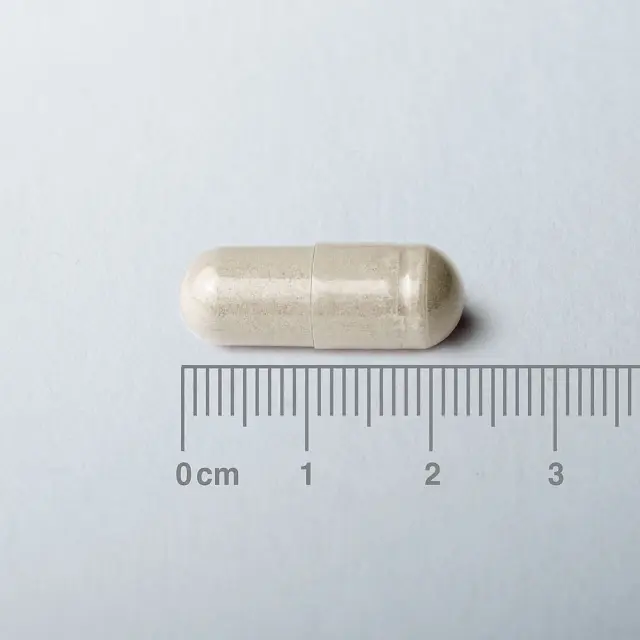 LAMBERTS Night Time Herbal Complex 60 Κάψουλες 2